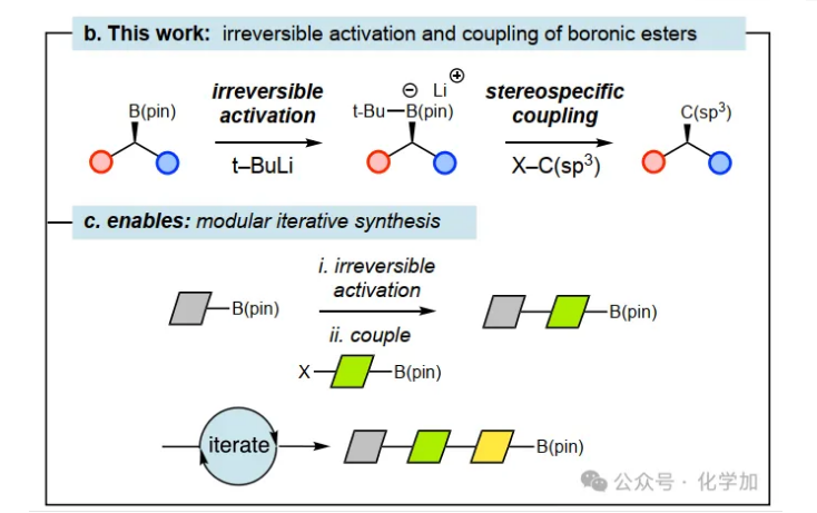 Nature：硼酸酯的立體專一性烷基-烷基交叉偶聯(lián)