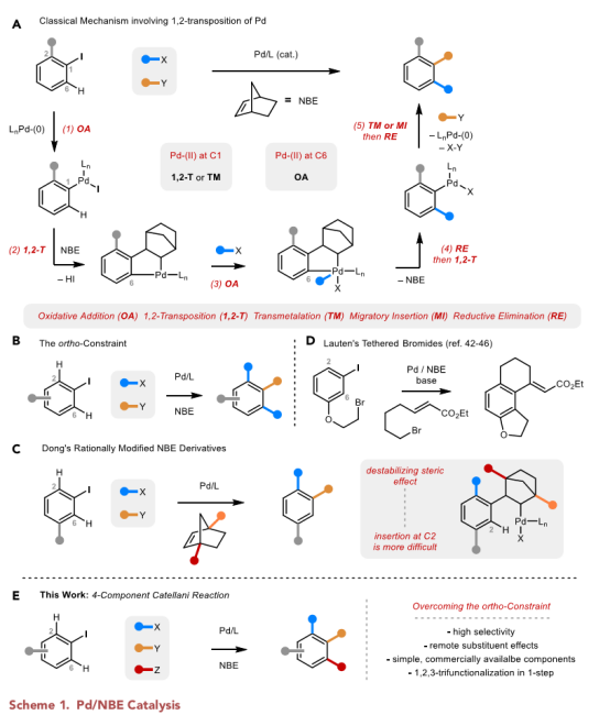 1597649922261931.png image.png