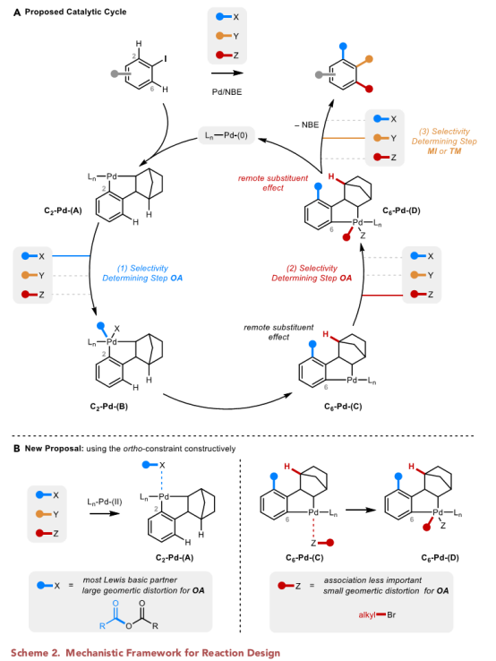 1597649954827356.png image.png