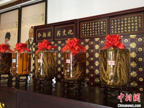 2020年6月，甘肅省定西市渭源縣田家河鄉(xiāng)元古堆村一家中藥材生產(chǎn)加工企業(yè)的藥材展示。 (資料圖) 張婧 攝