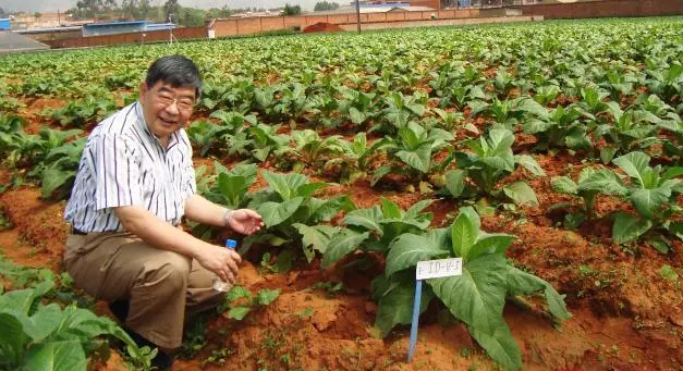 1605237860646018.png image.png