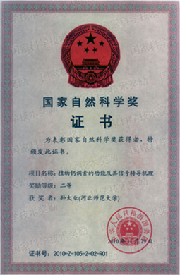 1605753142993166.png image.png