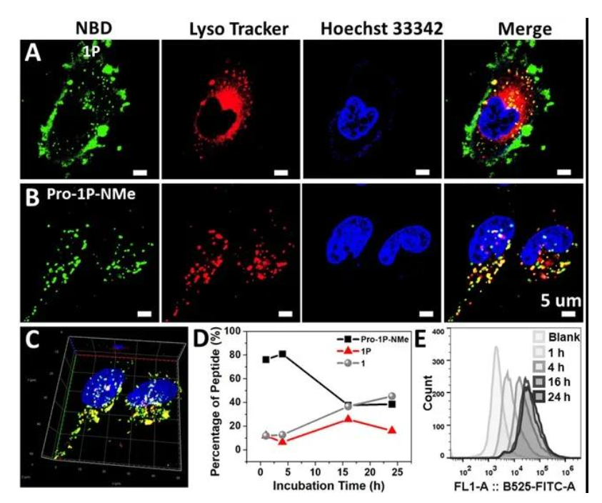 1637130212903211.png image.png