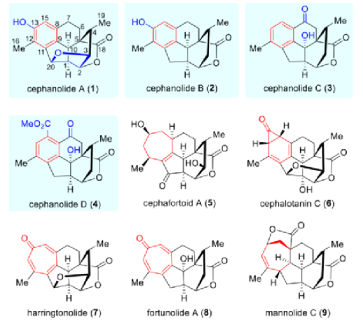 1654566794868070.png image.png