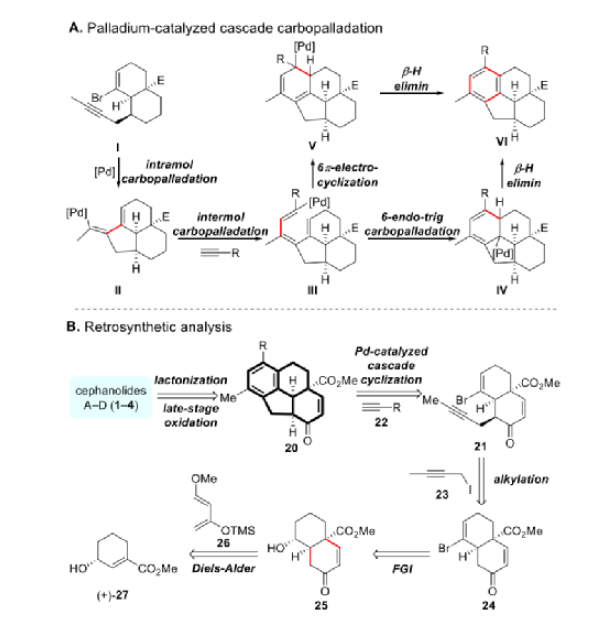 1654566851660843.png image.png