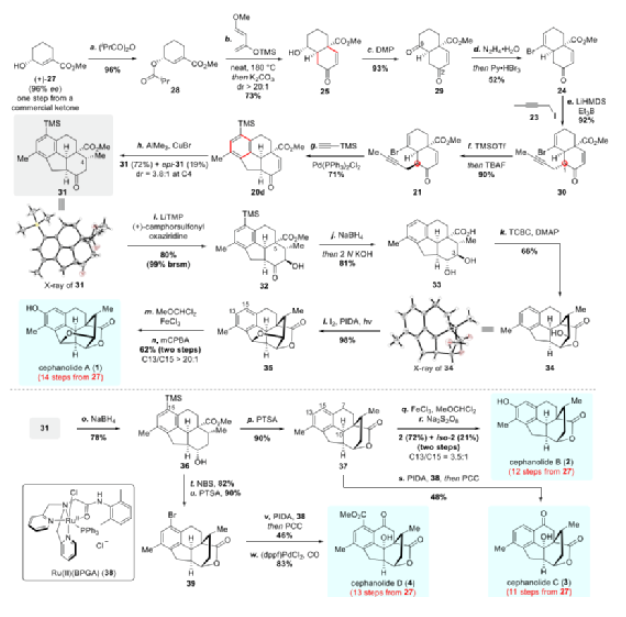 1654566880675429.png image.png