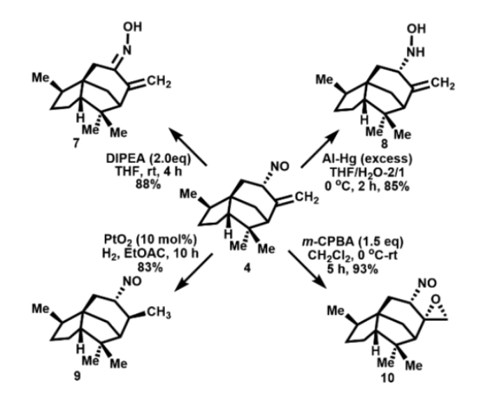 1654568337744415.png image.png