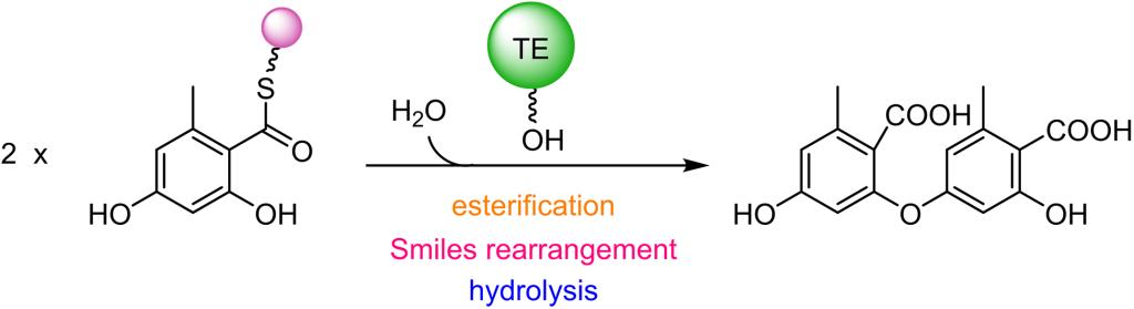 圖示描述已自動生成