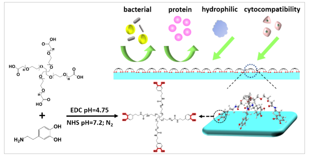 1655200696215592.png image.png