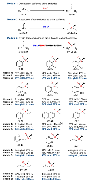 1662943942211969.png 9203.png