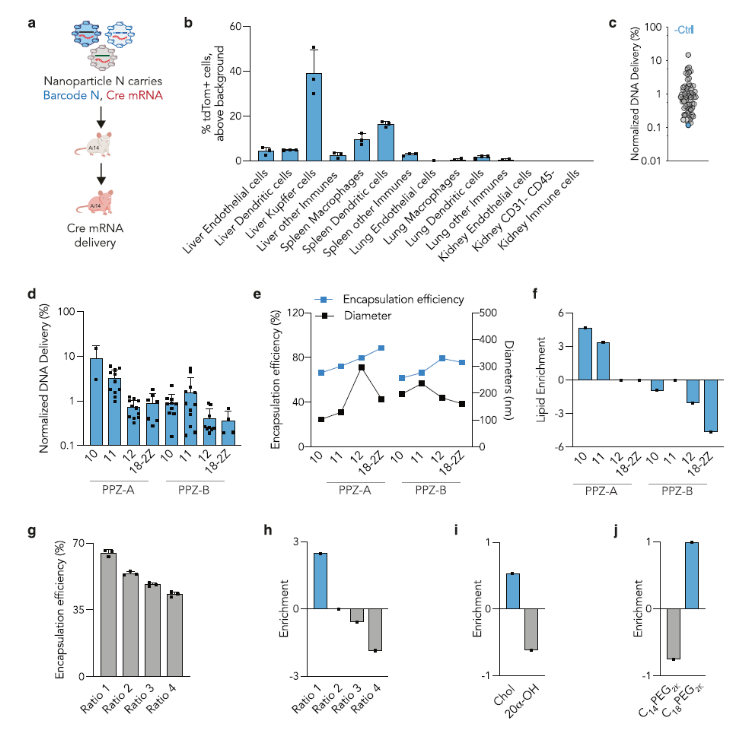 1662948824734352.png 9722.png