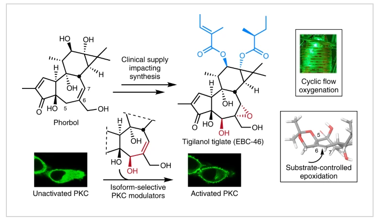 1665374283946398.png 圖片1.png