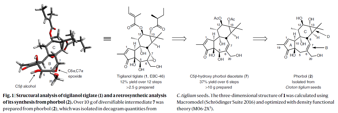1665374288356126.png 圖片2.png