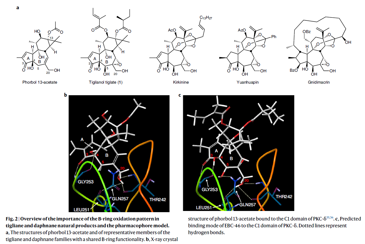 1665374294954462.png 圖片3.png