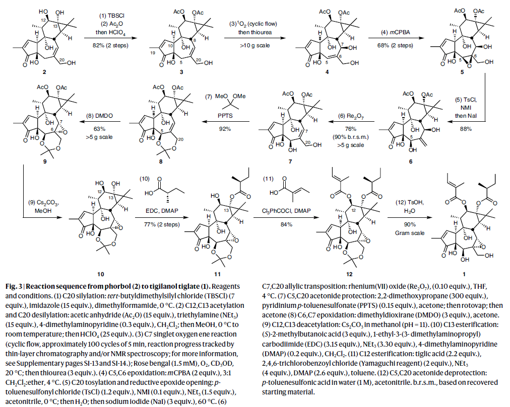 1665374299133116.png 圖片4.png