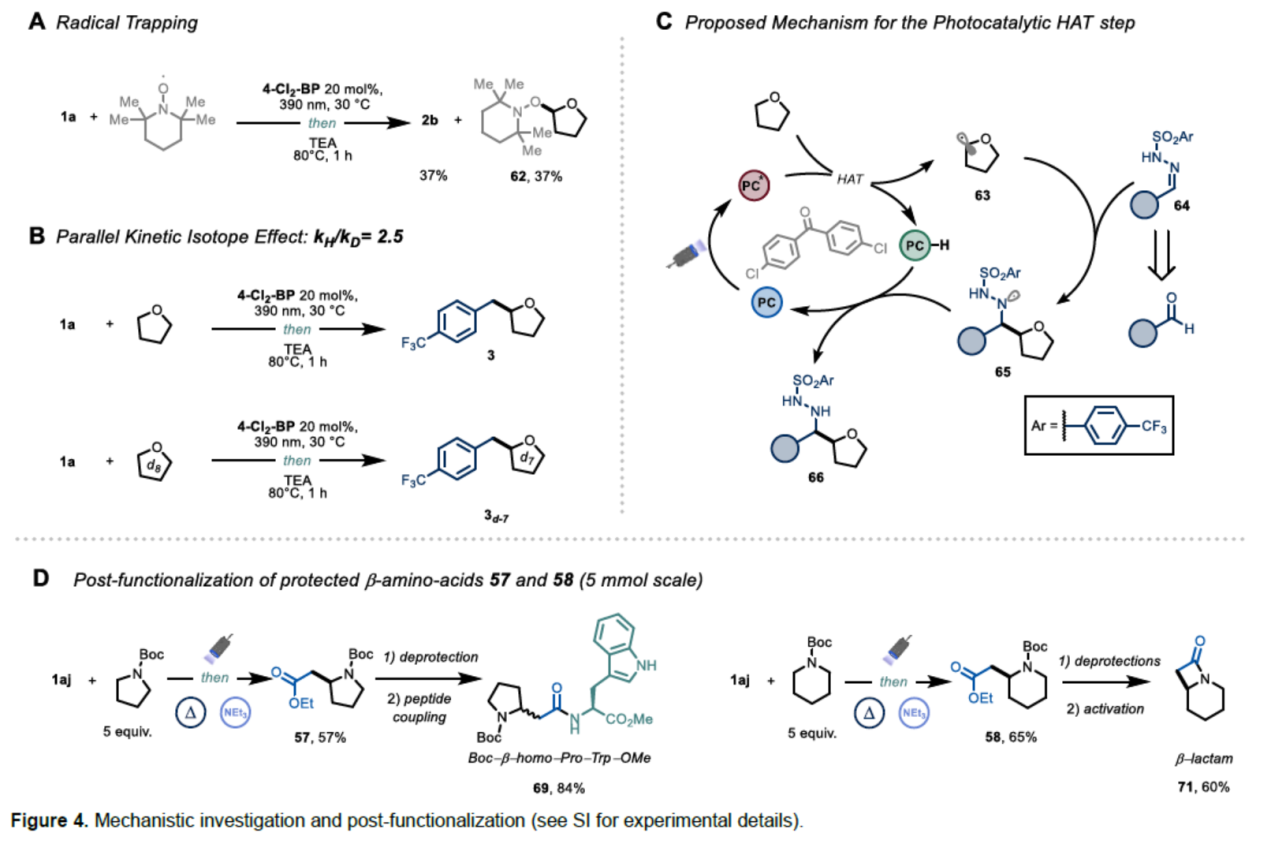 1669166365556950.png 圖片6.png