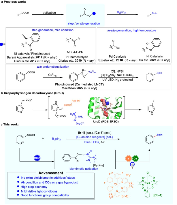 1669348143504515.png image.png