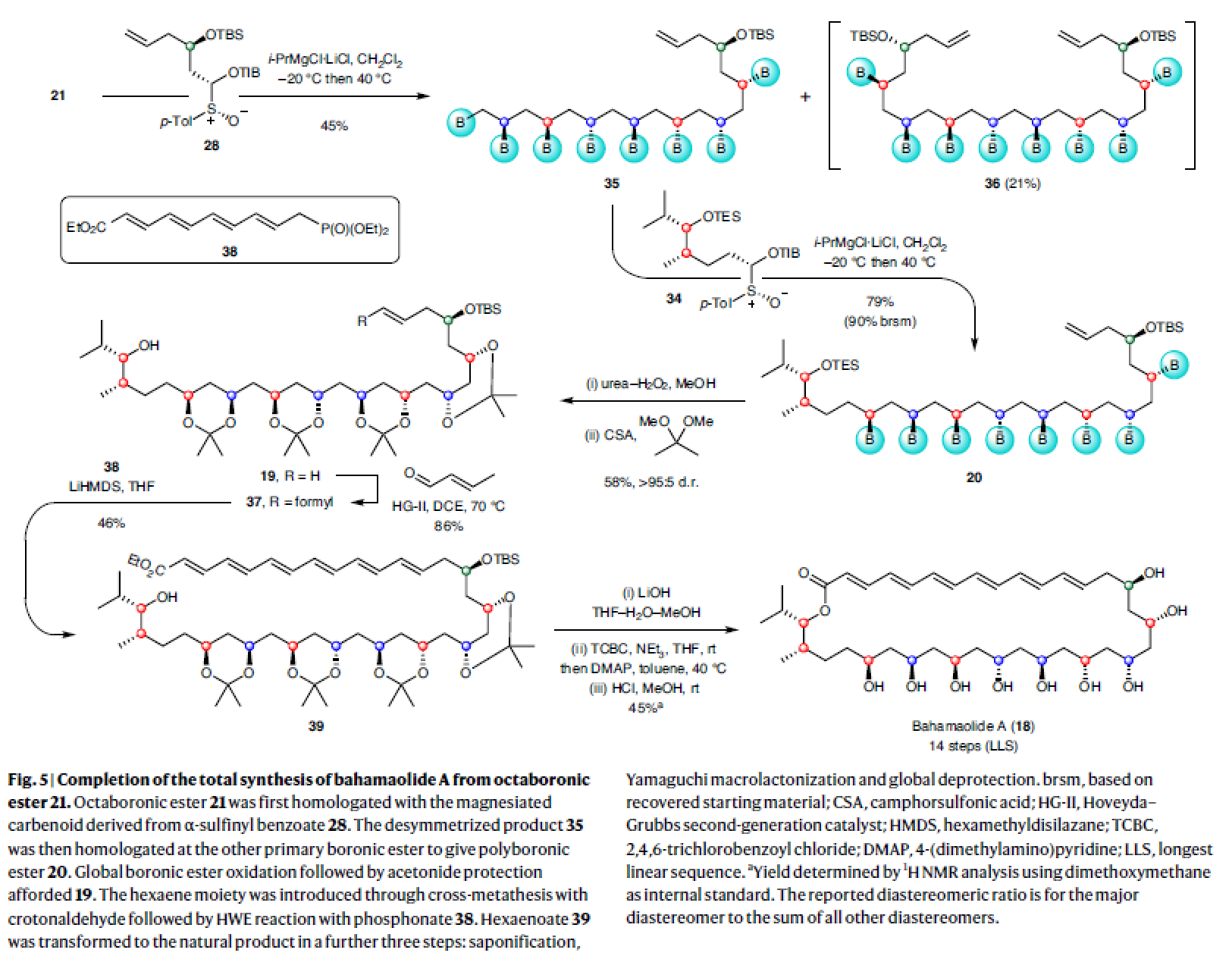 1670399675692730.png 圖片7.png