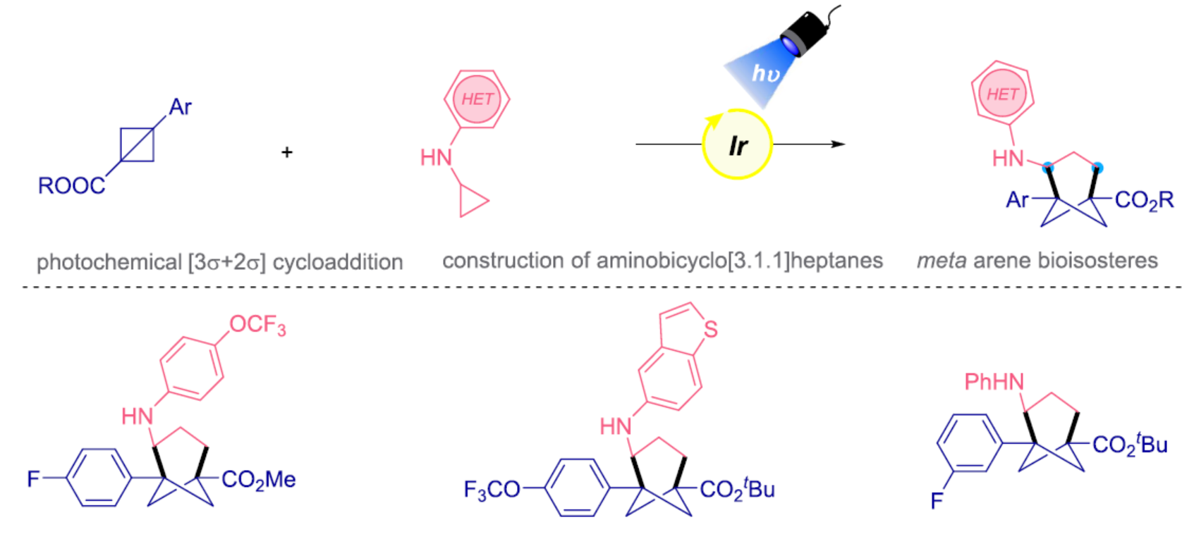 1672193838955888.png 1.png