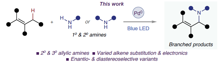 1672375814161393.png 圖片1.png