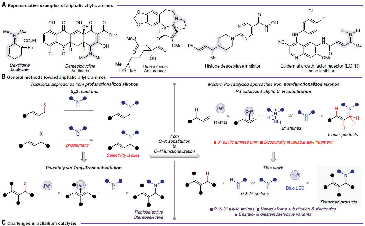 1672375819852778.png 圖片2.png