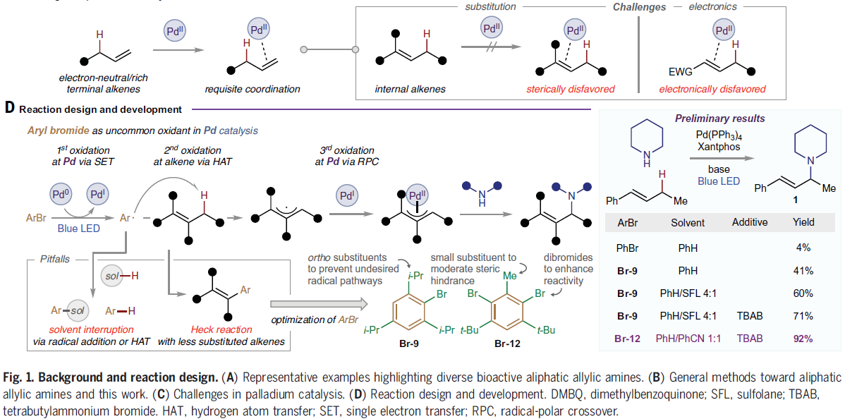 1672375824680425.png 圖片3.png