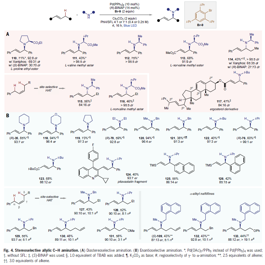 1672375838896035.png 圖片6.png