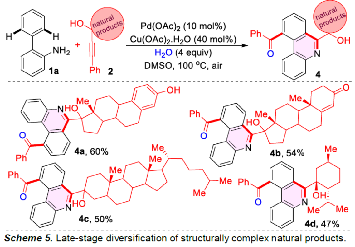 1672883682221718.png 圖片7.png