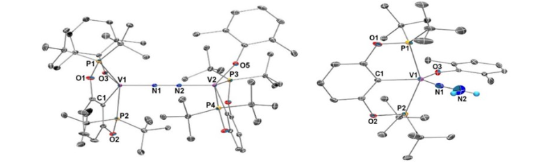 1673317488526295.png image.png