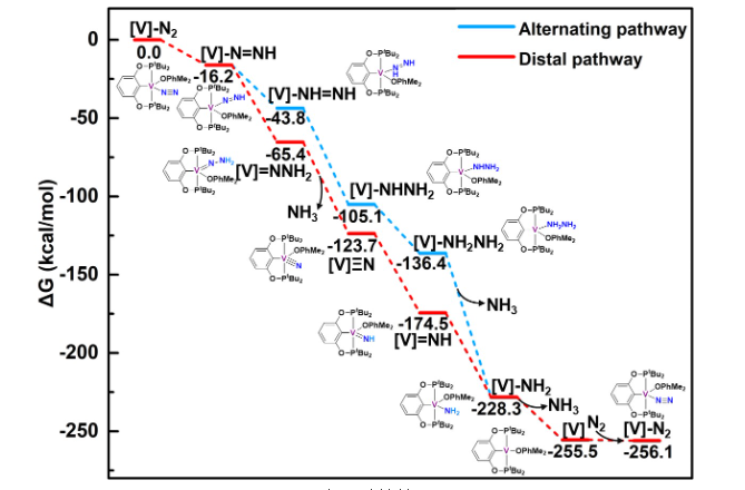 1673317518316972.png image.png