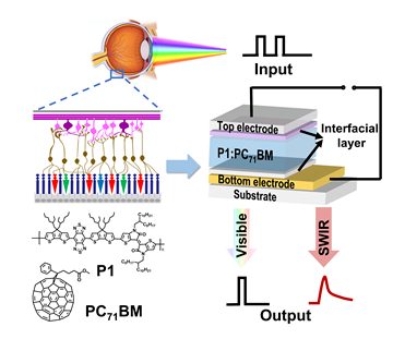 1673919651539175.png image.png