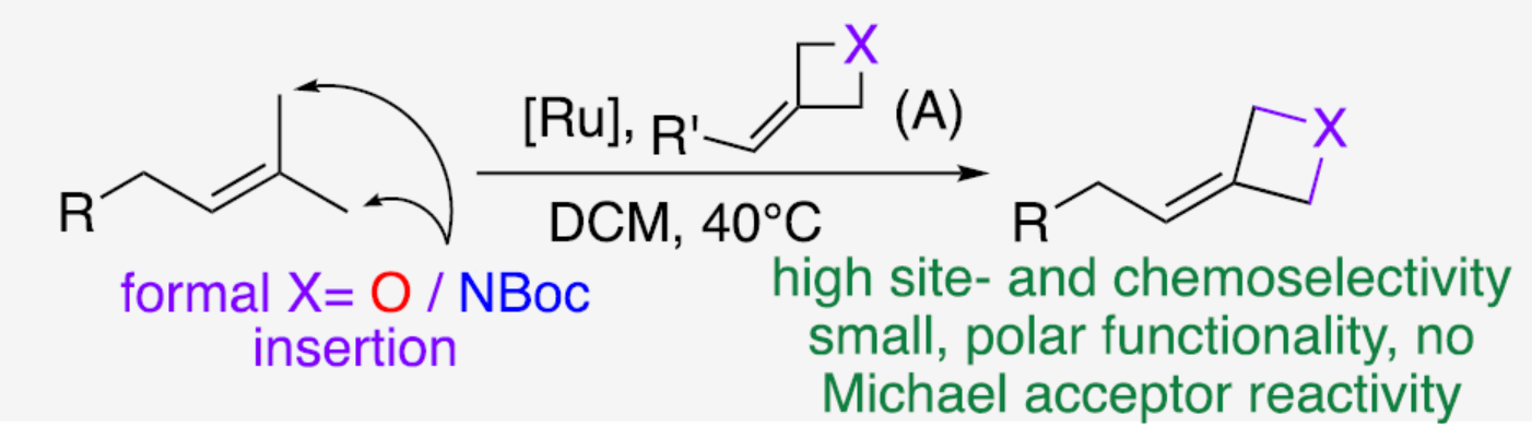 1674027470348883.png 圖片9.png