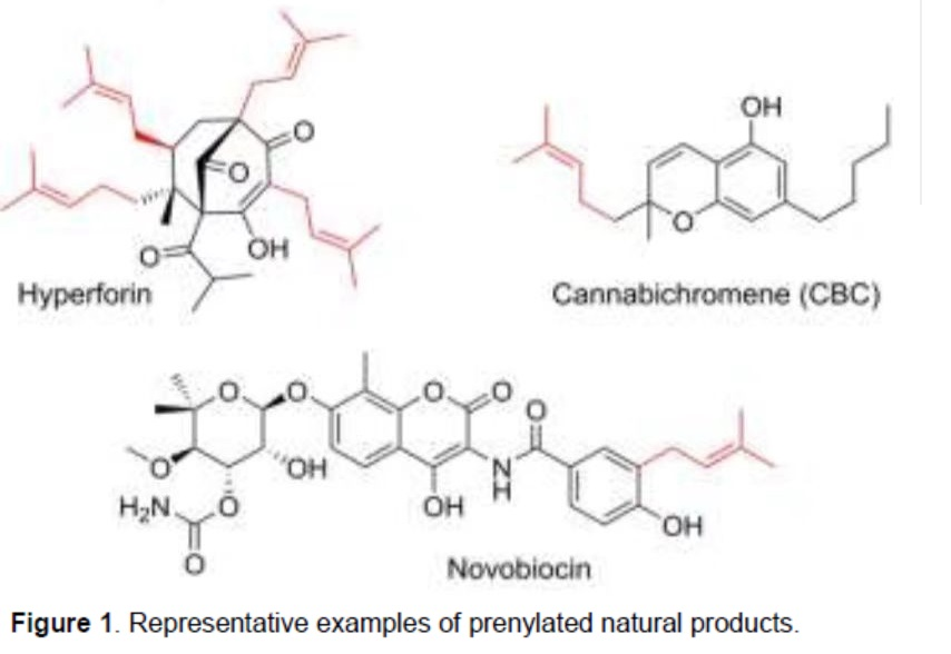 1674027474283060.png 圖片10.png