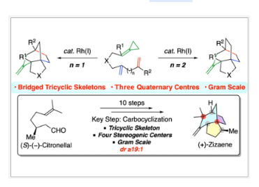 1676256069745004.png image.png