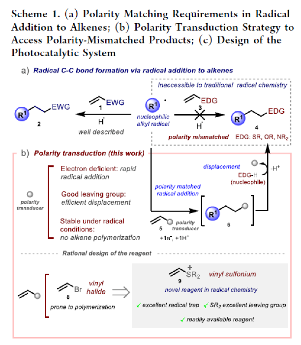 1676257024802055.png image.png