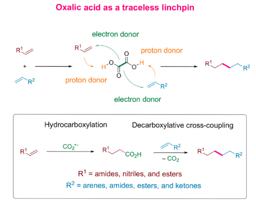 1676257960351588.png image.png