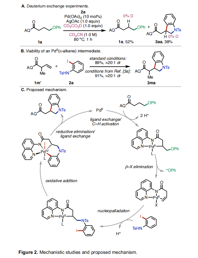 1687144693257380.png image.png