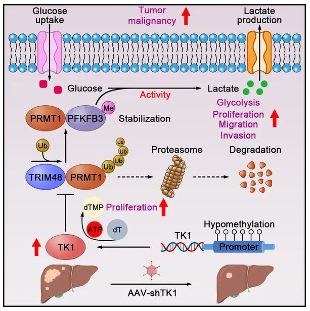 1687223150544932.png image.png