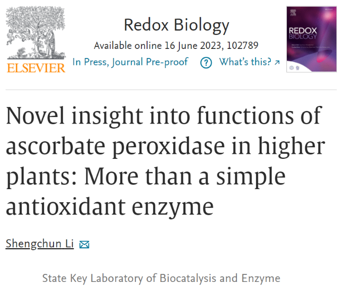 1687318471170386.png image.png