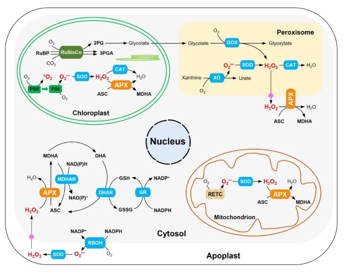 1687318486962993.png image.png