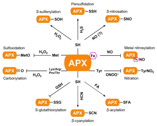 1687318501997583.png image.png