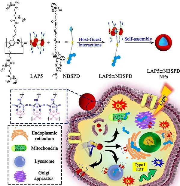 1687318634639542.png image.png