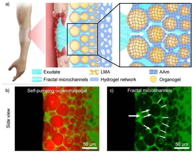 1687319628851362.png image.png