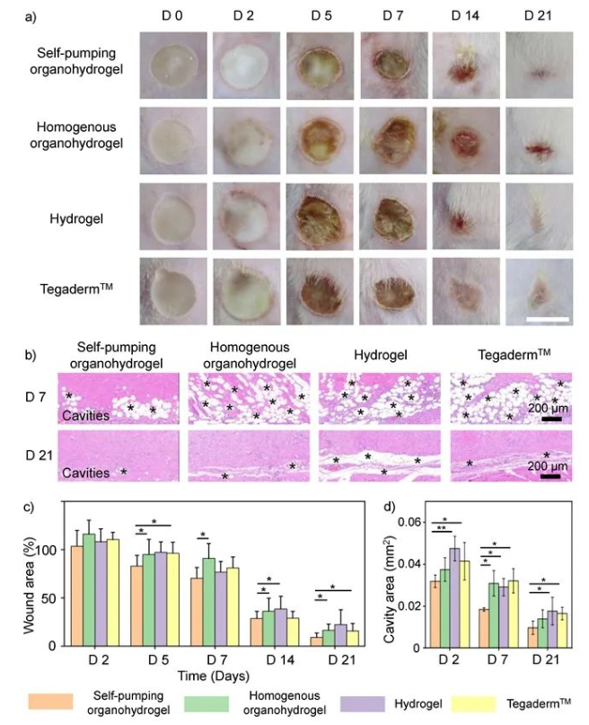 1687319663610386.png image.png