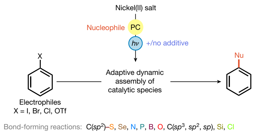 1687332287815923.png image.png