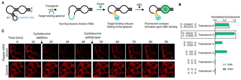 1687340204985082.png image.png