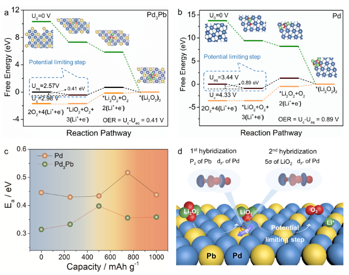 1687340688585681.png image.png