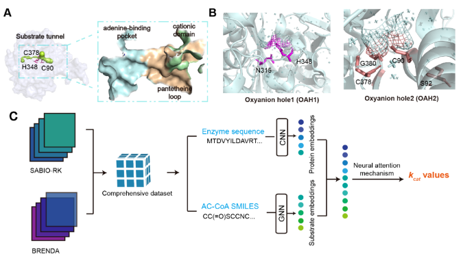 1687340778716269.png image.png