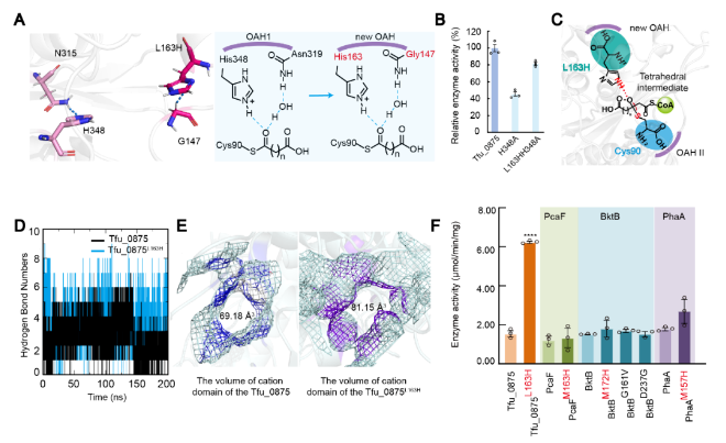 1687340789235911.png image.png