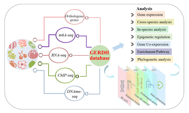 1687340955455655.png image.png